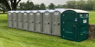 Types of Portable Toilets We Offer in Sunnyvale, TX
